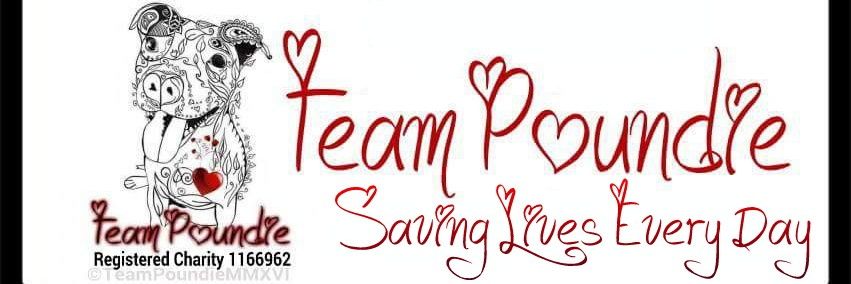 Team Poundie banner