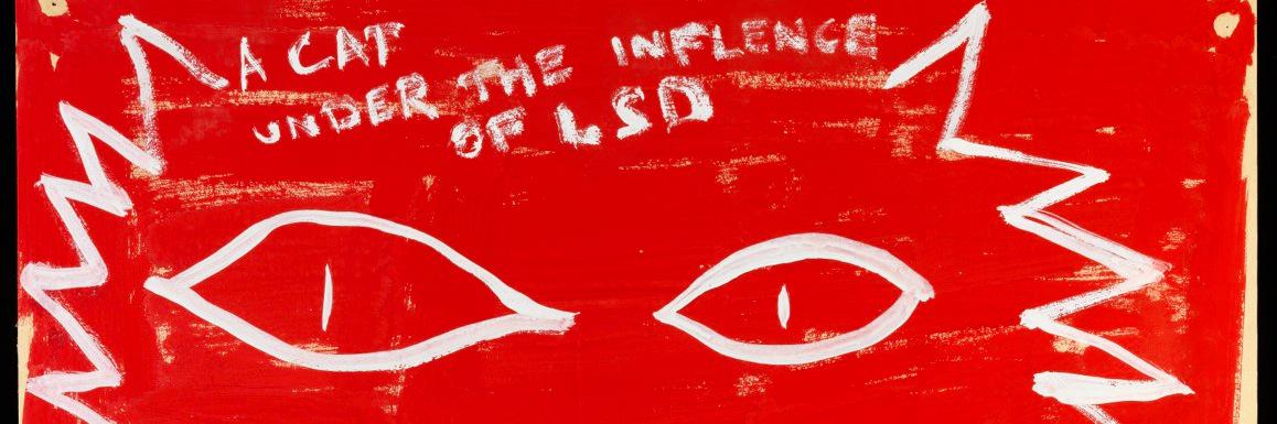 David O'Flynn banner