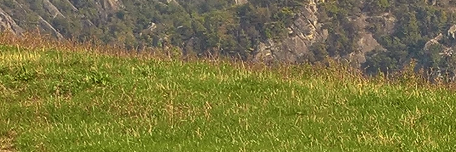 antonio19523's profile banner image