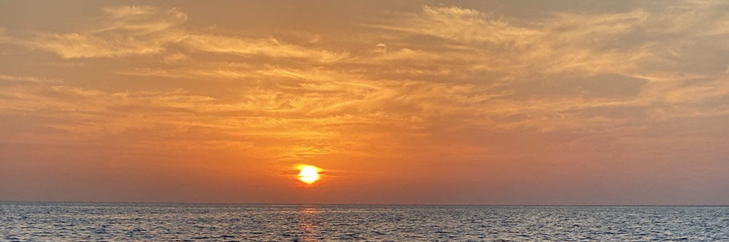 ALI ALDOSARI banner