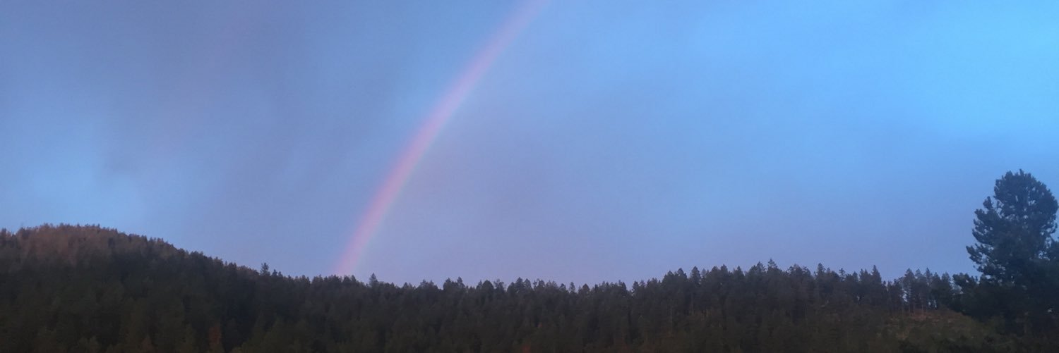 catknine's profile banner image