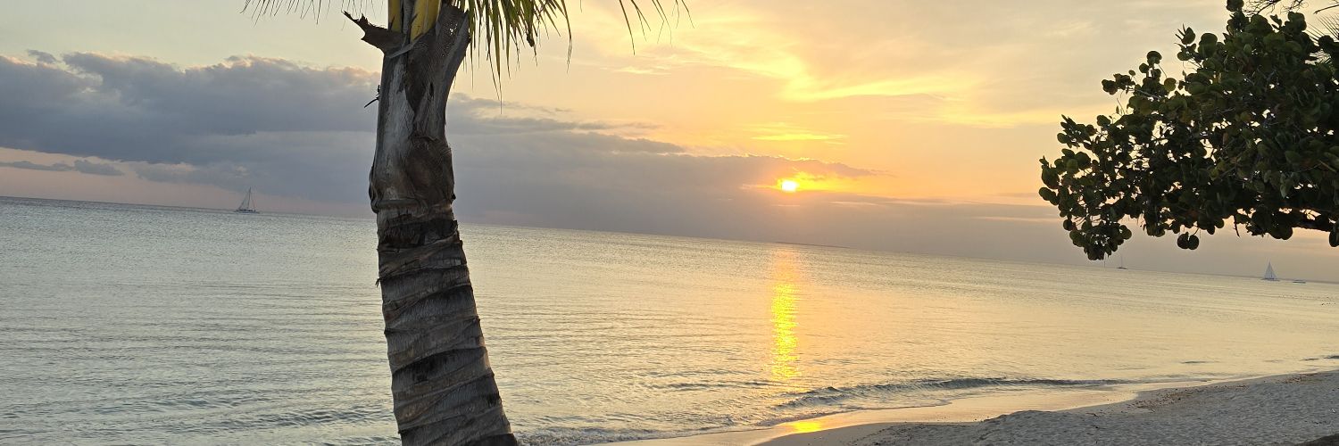 IrisSimplemente's profile banner image
