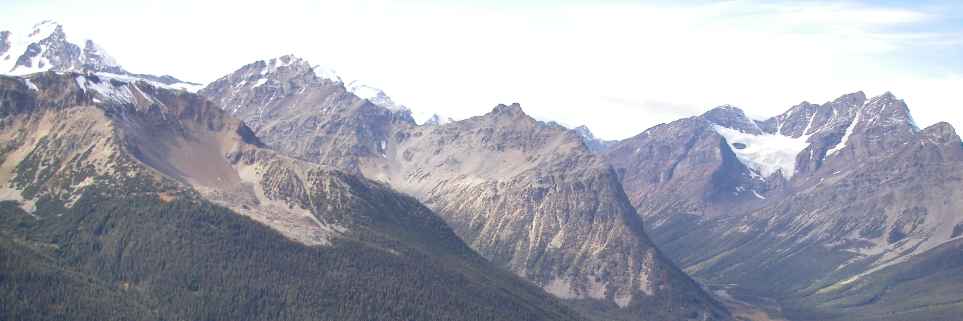 Wilburforce's profile banner image