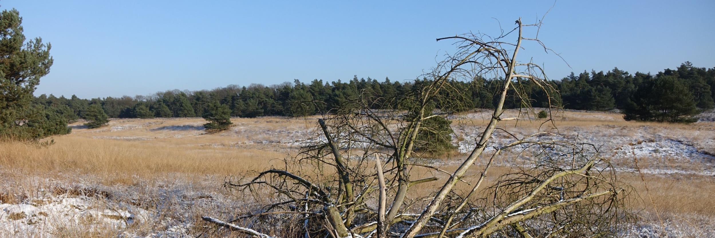 visit_veluwe's profile banner image