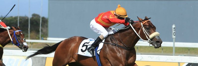 BREEDING TO WIN banner