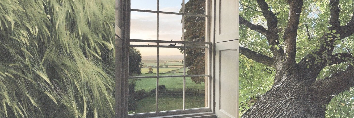 Sagi ⭐️ ꒱ banner