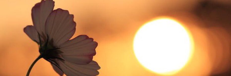 نايف الـمـطـيـري banner