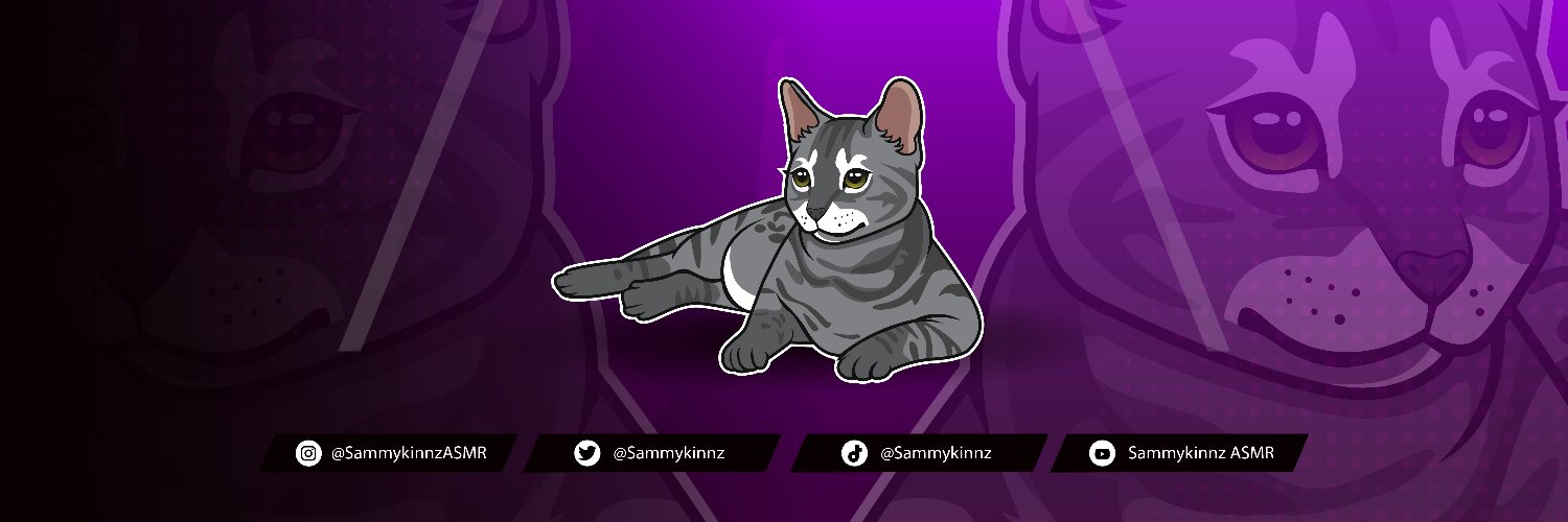 Sammykinnz's profile banner image