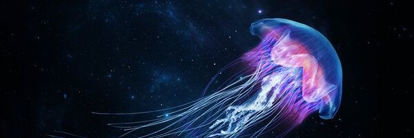 Steve Browne 👽🍄🛸🎧📖 banner