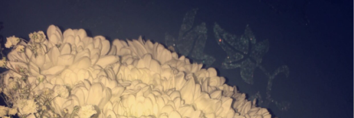 ABS20300's profile banner image