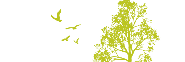 DisabilityUBCO's profile banner image