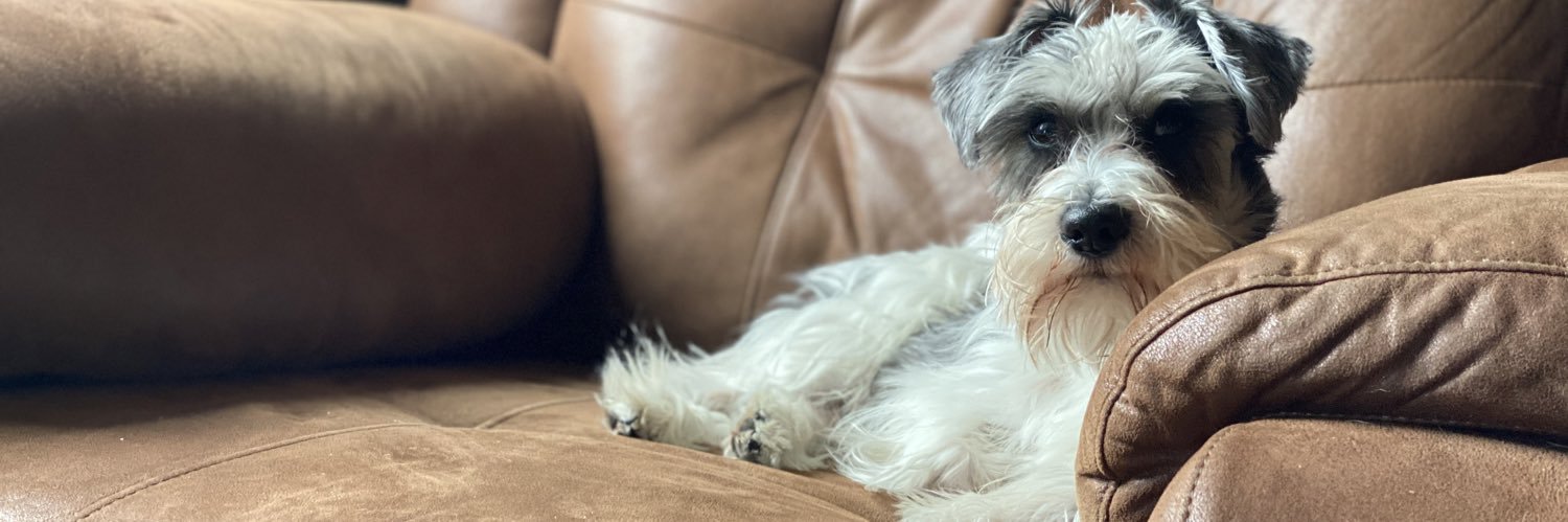 William Holman banner