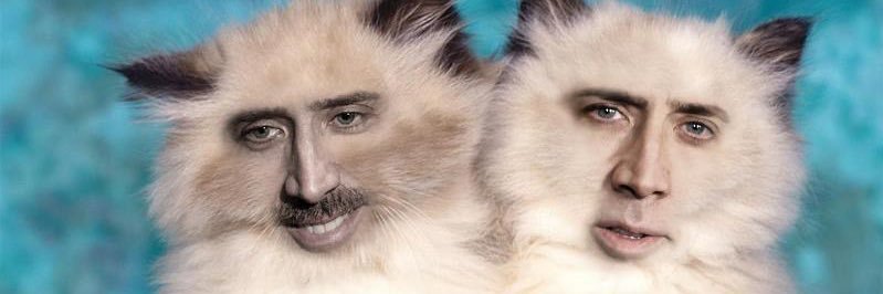 tshalaps's profile banner image