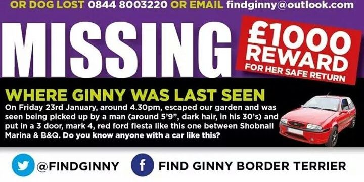 FindGinny's profile banner image