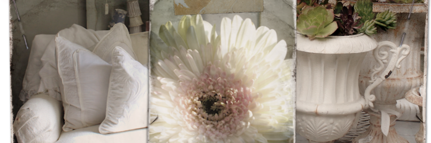 ozarksfinds's profile banner image