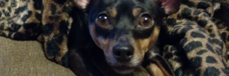 MaladonX's profile banner image
