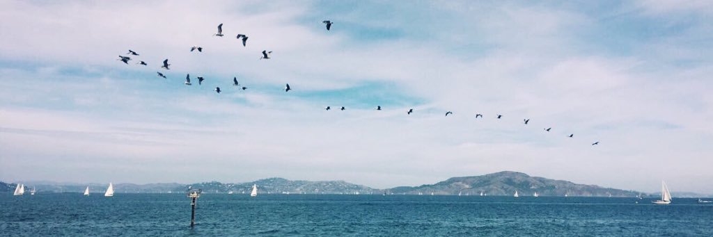 ssm0u's profile banner image