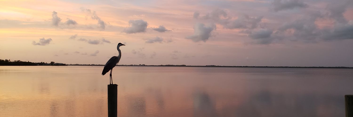 simplesaltylife's profile banner image