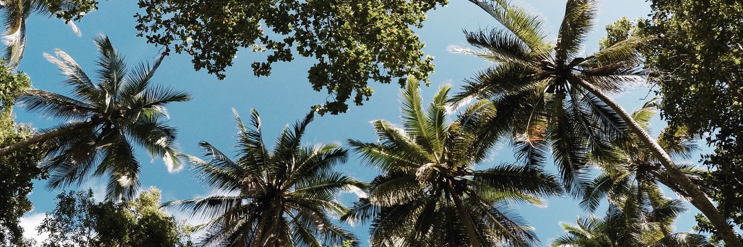 palamaopav's profile banner image