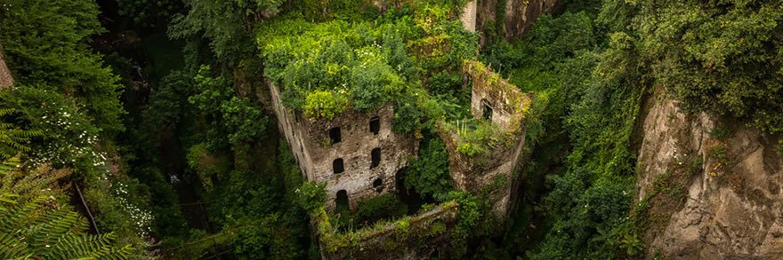 Benj 🚨🏀🏒🚨🌱🚨☁️🌤️☁️🚨 banner