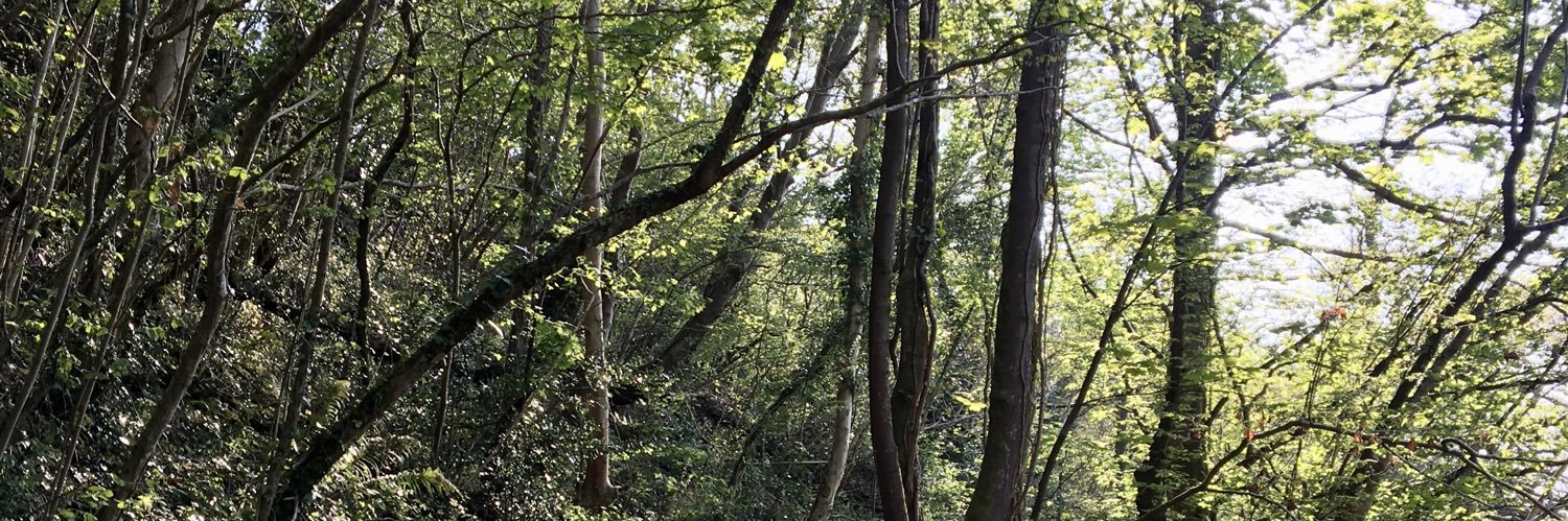 Juliette Bagary Latchimy banner