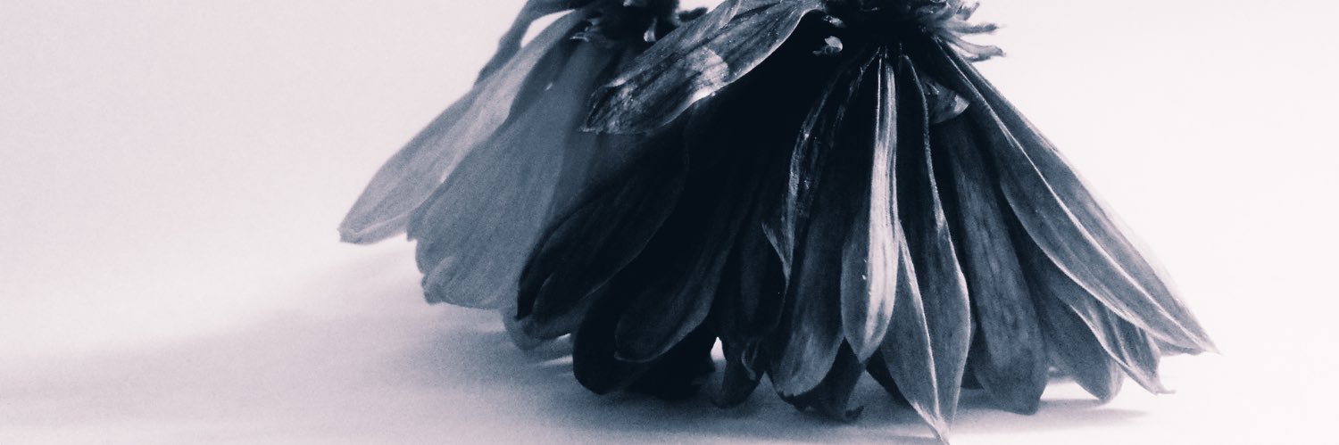 krysteenie's profile banner image