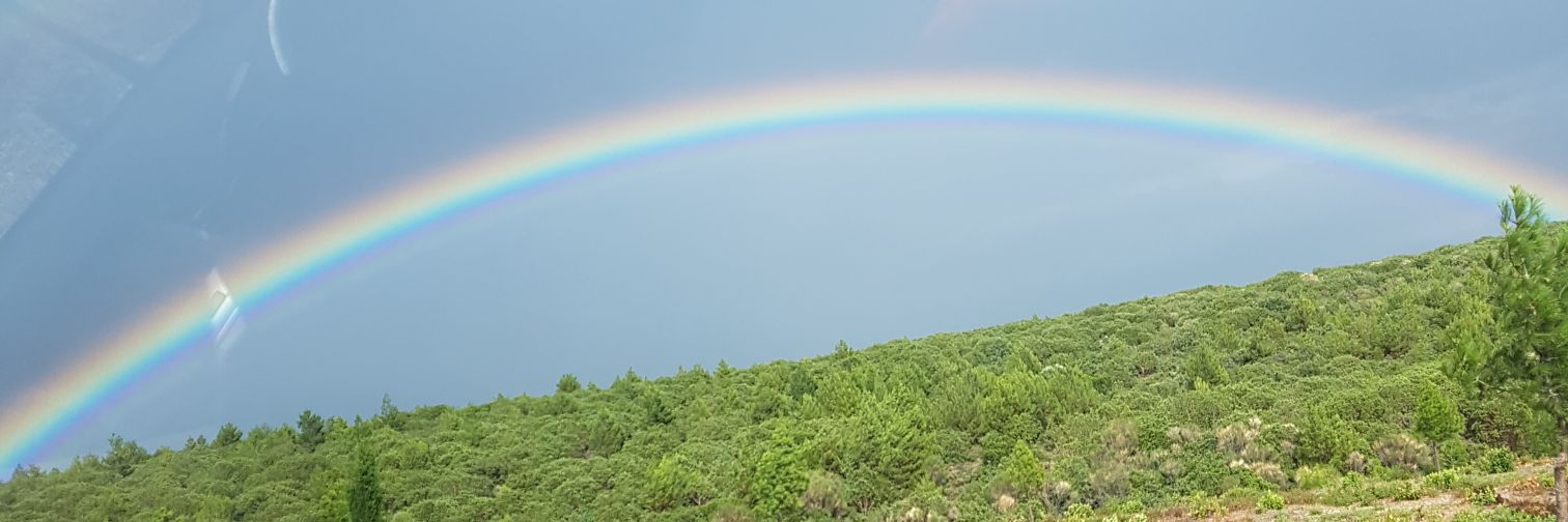 aliioe31's profile banner image