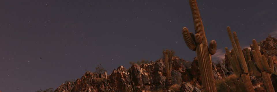 Ubiquia's profile banner image
