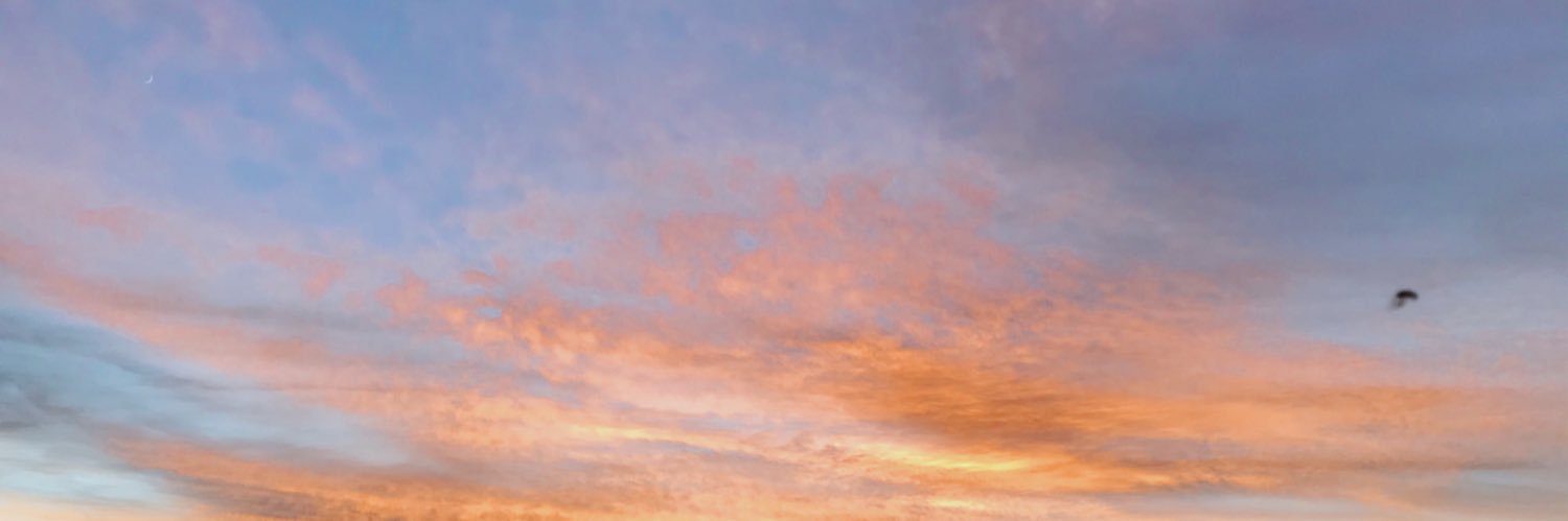 claaragp's profile banner image