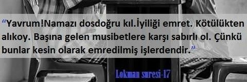 mJdatdemir's profile banner image