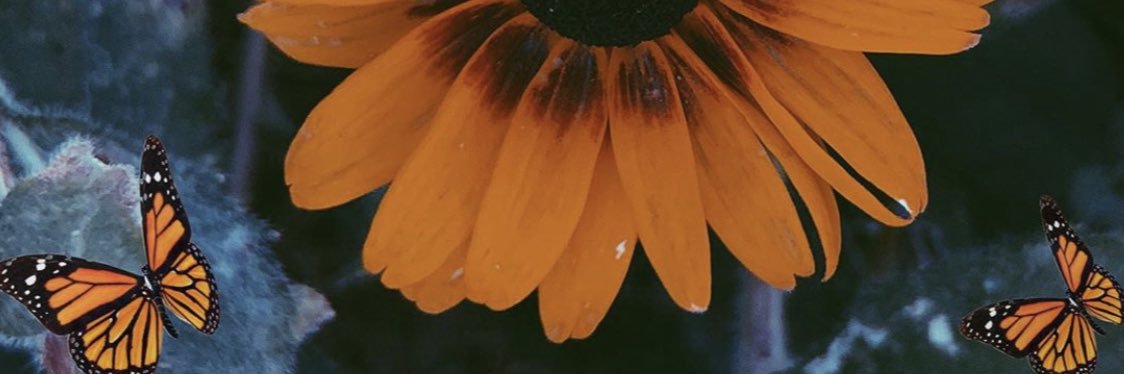 Juliannafarah's profile banner image
