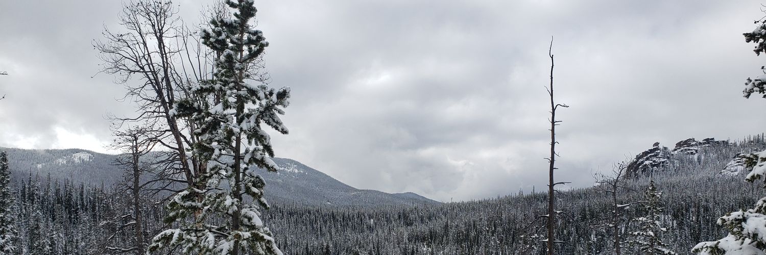 steppanowski85's profile banner image