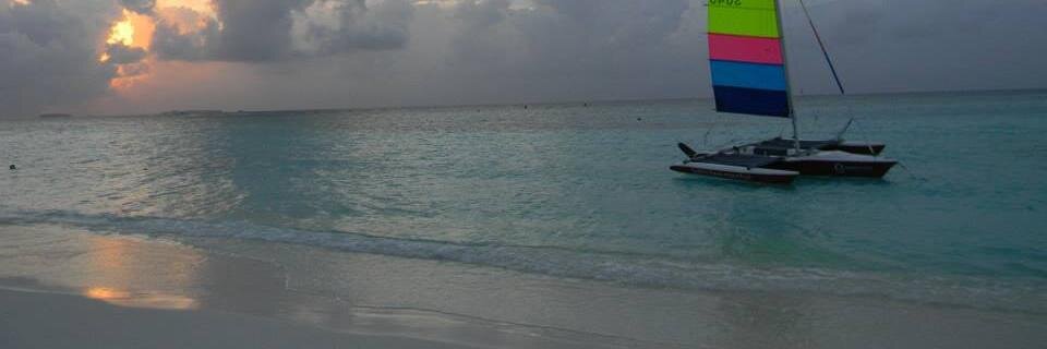 ManishaYadava's profile banner image