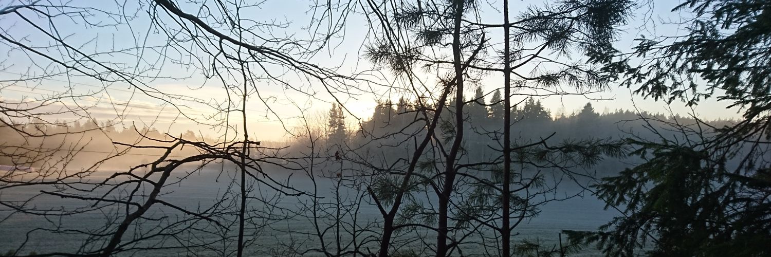 LauraRocksFin's profile banner image