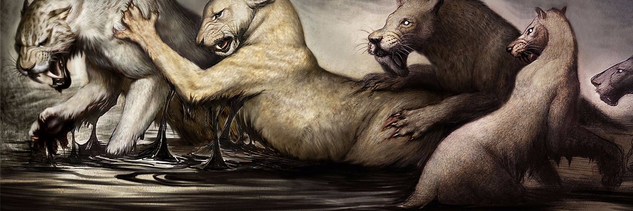 leonardoalannis's profile banner image