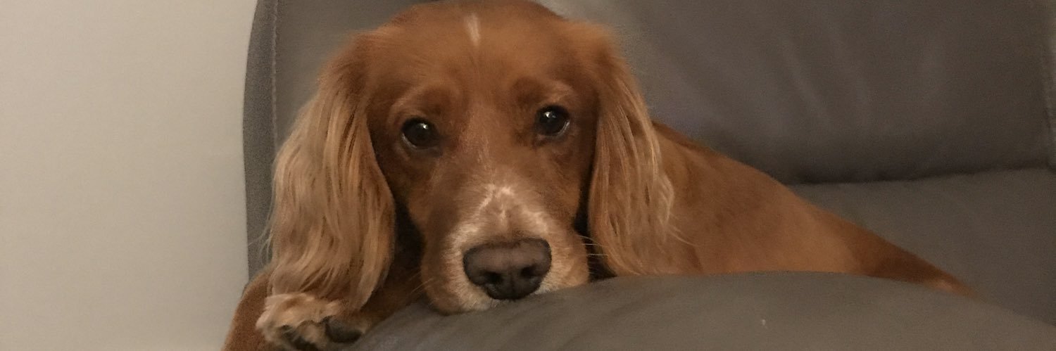 abbiekane_'s profile banner image