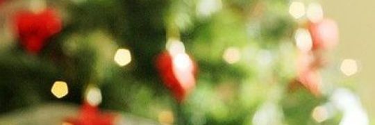 Senga_x's profile banner image