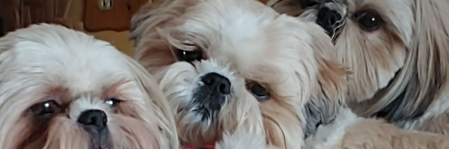 MadkidMistress's profile banner image
