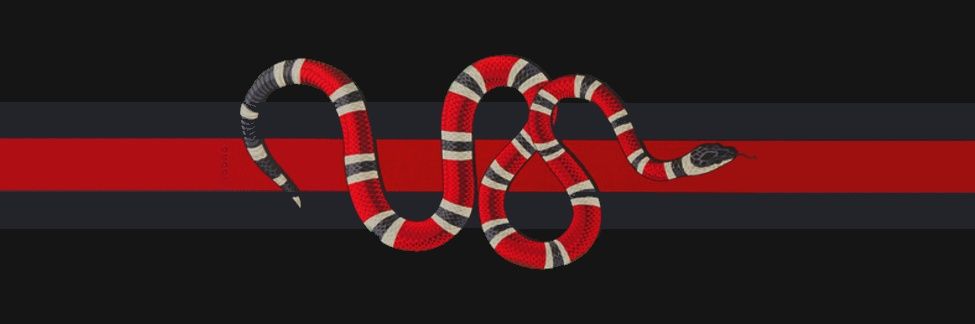 SPIDAMAAYNE's profile banner image