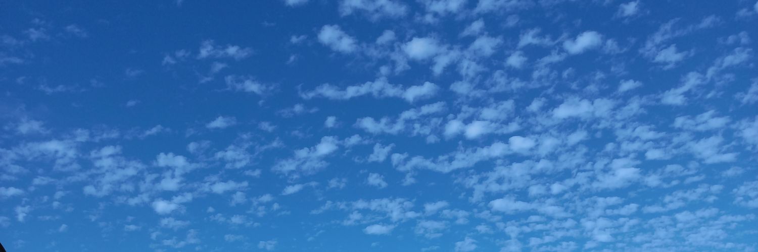 Dumbo banner