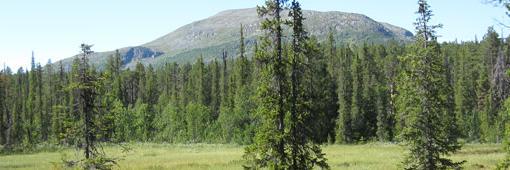 OK_ISAT's profile banner image