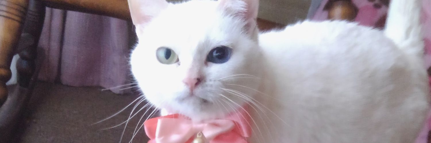 ᴅᴀᴀɪ banner