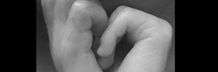 Lilllly_C's profile banner image