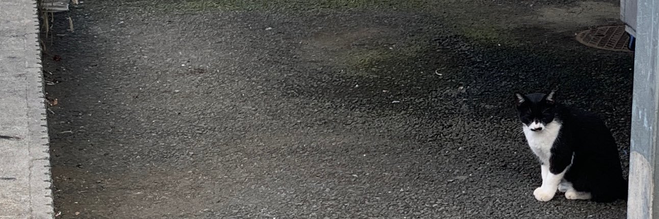 森田 陽祐（東京E-Do motions.） banner