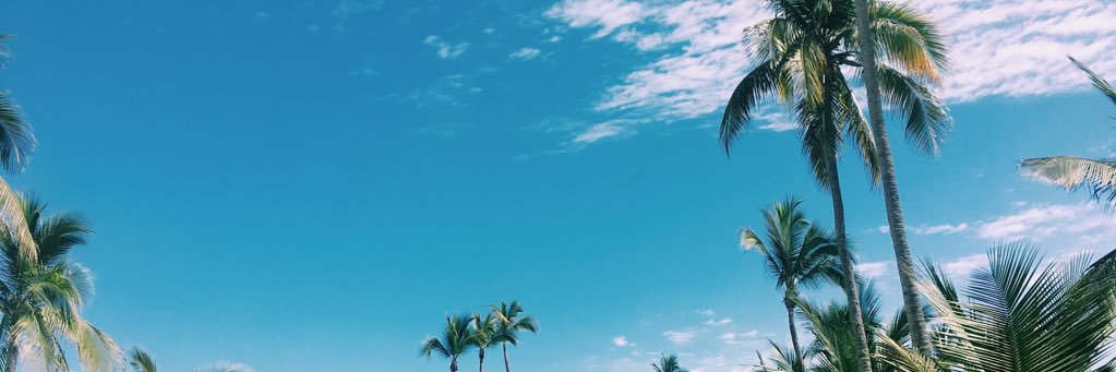 DenisseRendon1's profile banner image