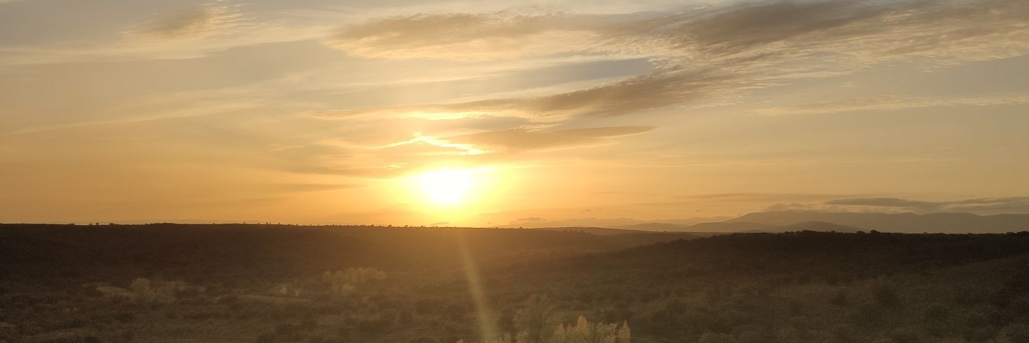 Alejandro Turrado banner