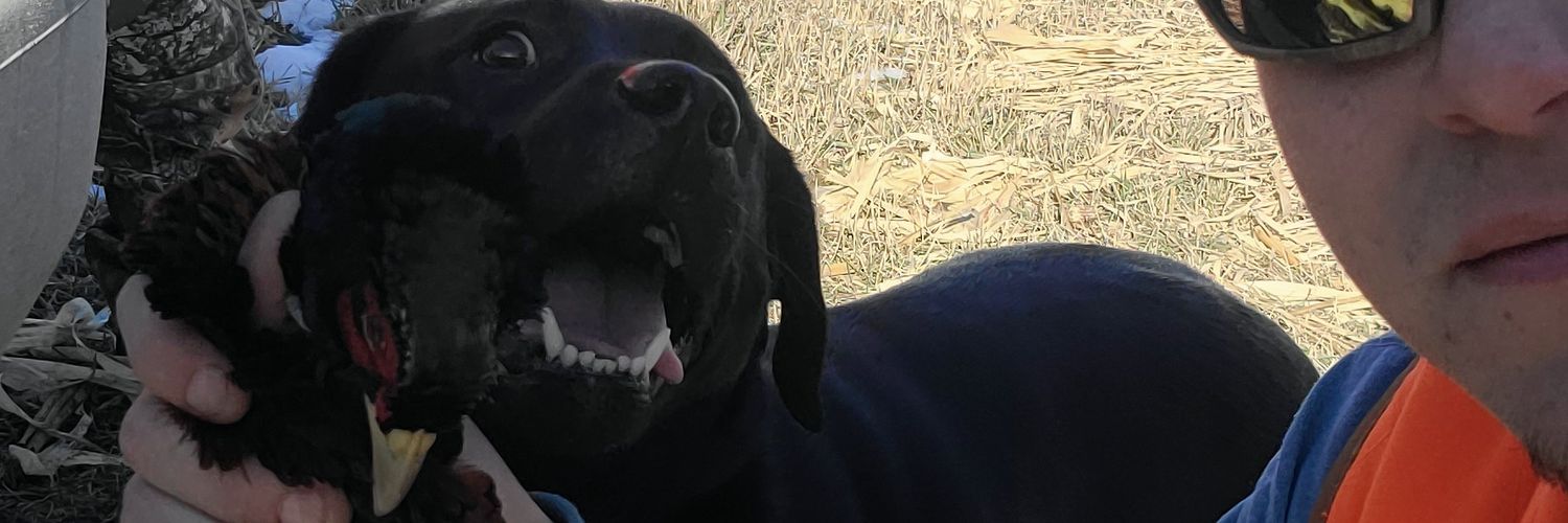 dreagon69's profile banner image