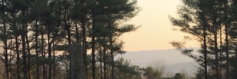 Jesssweiss's profile banner image