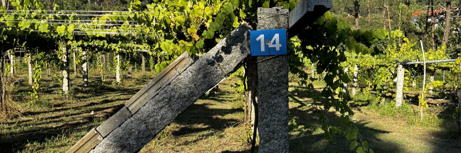 Daniel Monsonis banner