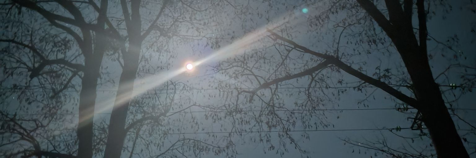 NegwaZ's profile banner image